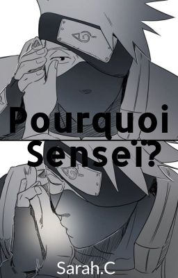 Pourquoi Senseï?