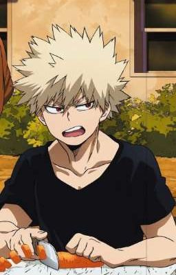 pov bakugou