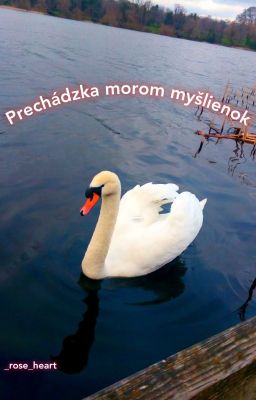 Prechádzka morom myšlienok