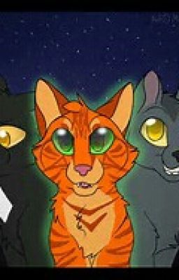 Precure Warrior Cats Rp