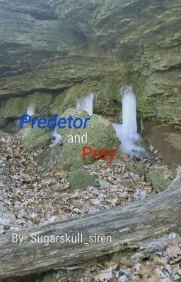 Predator and Prey