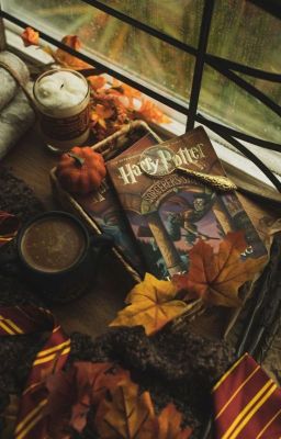 Préférences et Imagines Harry Potter