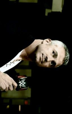 Preferences || SHANE MCMAHON