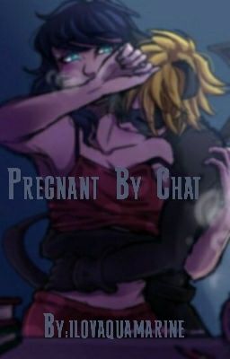 Pregnant By Chat 