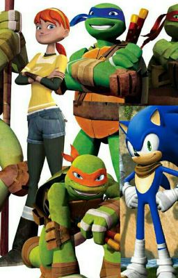 Pregunta y Reta a TMNT y Team Sonic