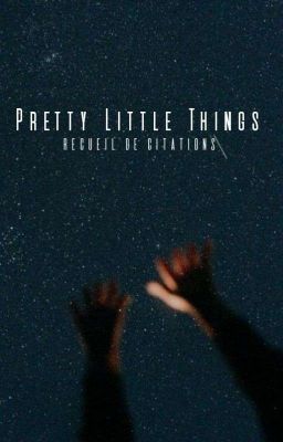 pretty little things tome°2