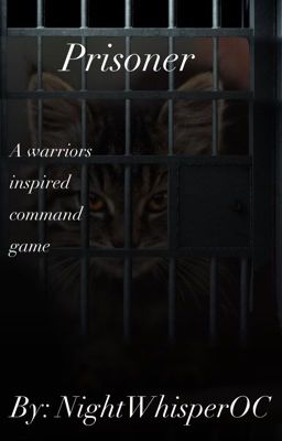 Prisoner (a warriors inspired command game)