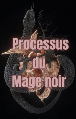 PROCESSUS DU MAGE NOIR {fanfiction Tom Jedusor}