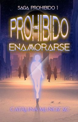 Prohibido enamorarse