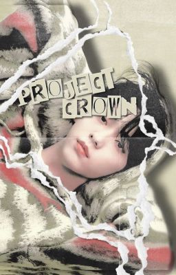 ❛ PROJECT CROWN ❜ ── girl group survival af