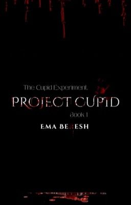 Project Cupid