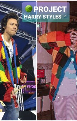 Project Harry Styles : JW Anderson Inspired Cardigan