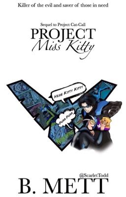 Project Miss Kitty (A Robin/Nightwing Young Justice FanFic)