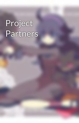 Project Partners