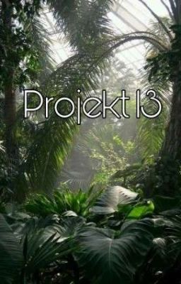 Projekt 13