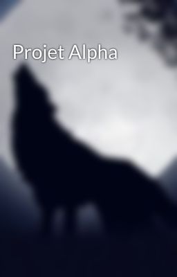 Projet Alpha