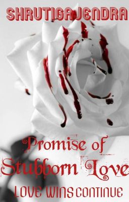 PROMISE OF STUBBORN LOVE (LOVE WINS CONTINUE)