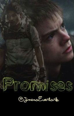 Promises - The Maze Runner