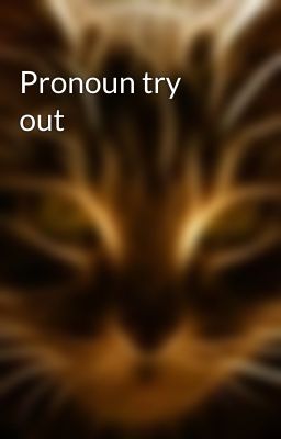 Pronoun try out