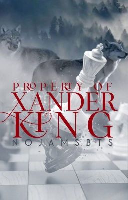 Property Of Xander King [BXB]