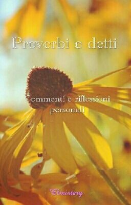 Proverbi e detti - Commenti e riflessioni personali