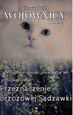 Przeznaczenie Brzozowej Sadzawki. Tunele. Tom 1