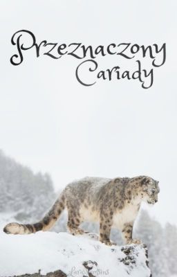 Przeznaczony Cariady