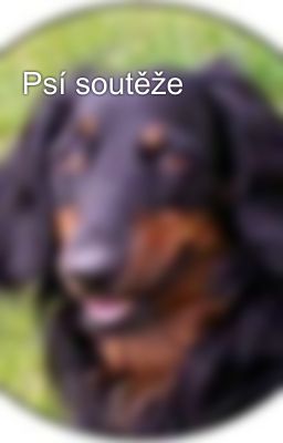 Psí soutěže