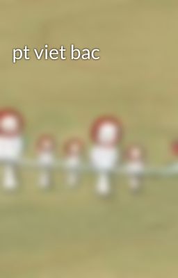 pt viet bac