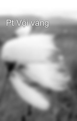 Pt Vội vàng