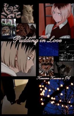 Pudding in love [Kenma Kozume x OC]