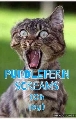 Puddlefern Screams (oh joy) randomness #4