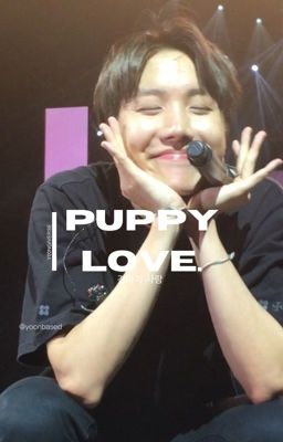 Puppy Love. (Rewriting)