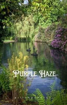 purple haze