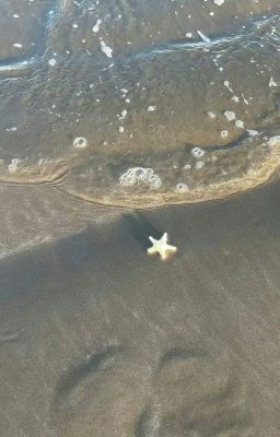 put a little umph in it.