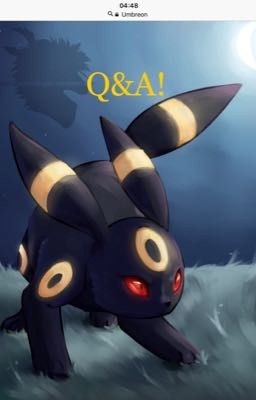 Q&A!