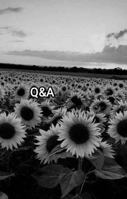 Q&A  