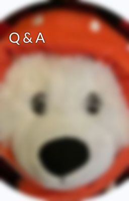 Q & A
