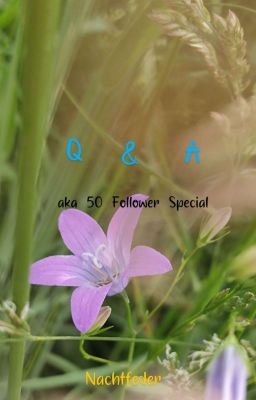 Q&A aka 50 Follower Special 