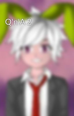 Q'n'A 2