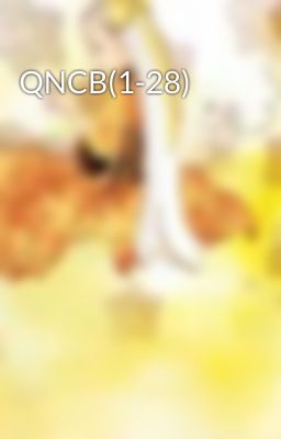 QNCB(1-28)