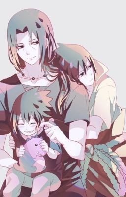 [QT] [Chồn sóc tá] Huých tường (Hoàn chính văn)