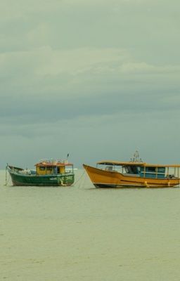 Quả mù u