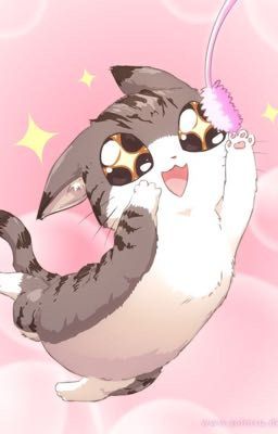 Quailleaps adoptables!