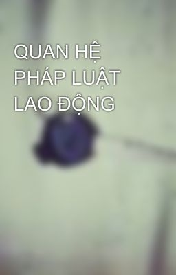 QUAN HỆ PHÁP LUẬT LAO ĐỘNG