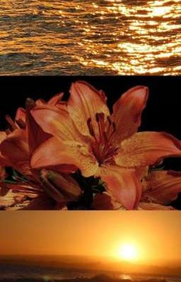 quan hiếu | echoes of summer