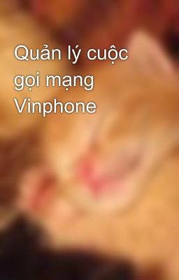 Quản lý cuộc gọi mạng Vinphone