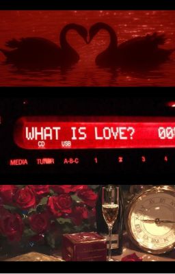 quantam . không buông