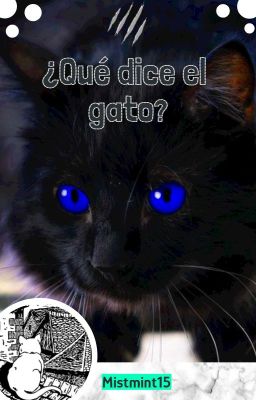 ¿Qué dice el gato?