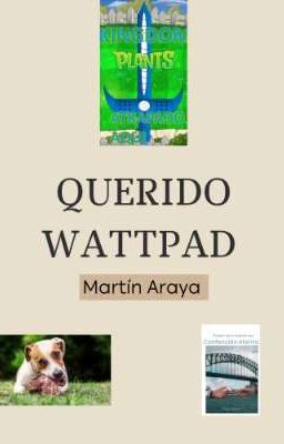 Querido Wattpad